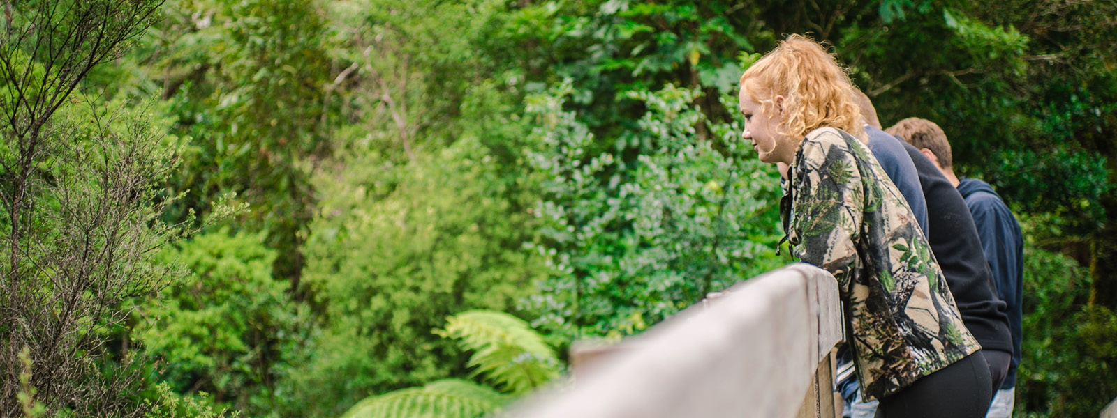 Community The Perry Group